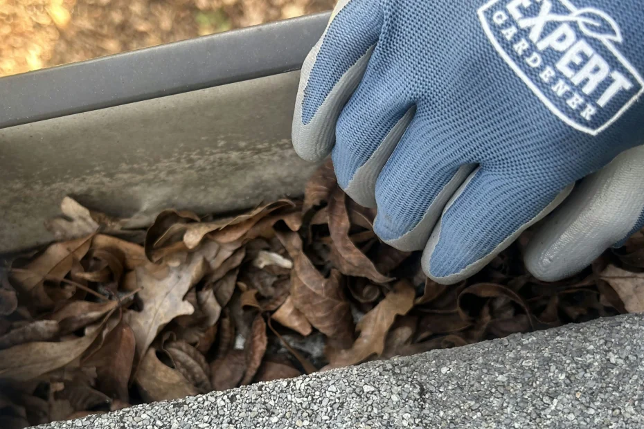 Gutter Cleaning Central LA