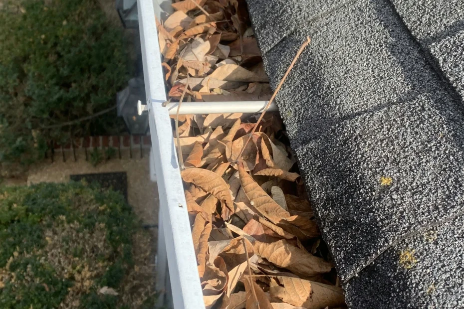 Gutter Cleaning Central LA