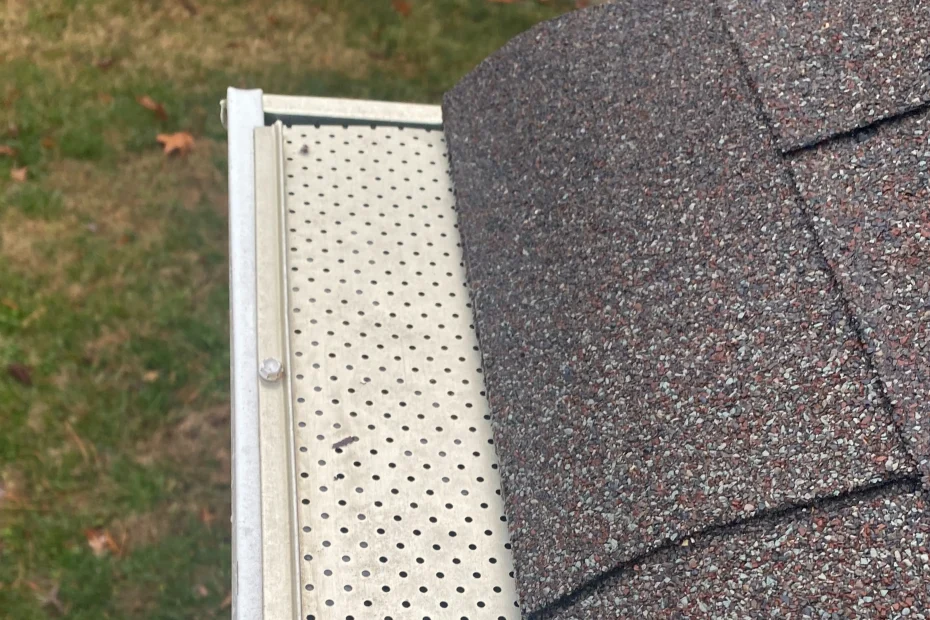 Gutter Cleaning Central LA