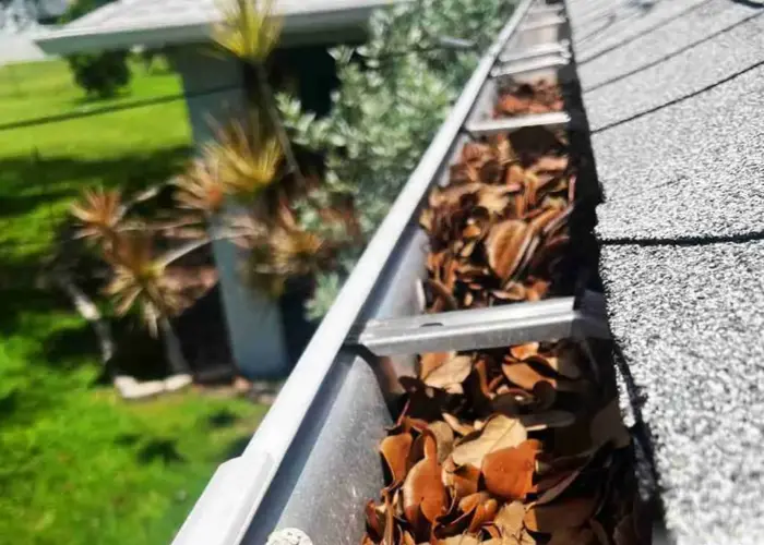 Gutter Cleaning Central LA home page